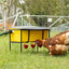 Automatic Poultry Waterer 4 Cups 3L - Woonona Petfood & Produce