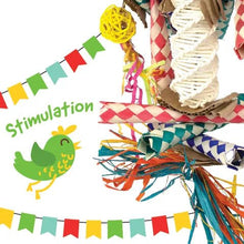 Bainbridge Bird Toy Fiesta Helix - Woonona Petfoods
