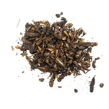 Bainbridge Dried Crickets - Woonona Petfoods