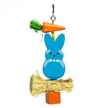 Bainbridge Small Animal Toy Chew Bunny - Woonona Petfoods