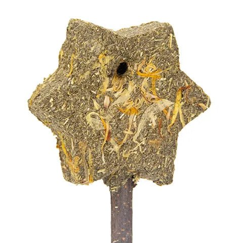 Bainbridge Small Animal Treat Magic Timothy Wand - Woonona Petfoods