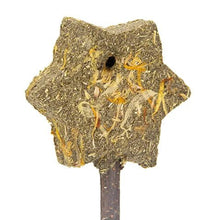 Bainbridge Small Animal Treat Magic Timothy Wand - Woonona Petfoods