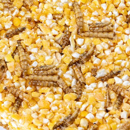 Bainbridge The Treat Block Mealworms and Corn 184g - Woonona Petfoods