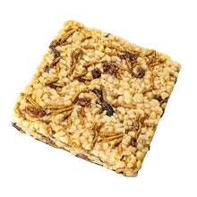 Bainbridge The Treat Block Mealworms, Peanuts and Raisins 213g - Woonona Petfoods