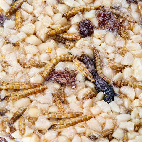 Bainbridge The Treat Block Mealworms, Peanuts and Raisins 213g - Woonona Petfoods