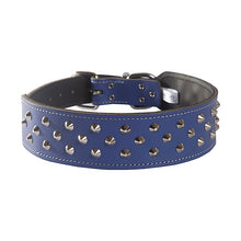 Beau Pets Collar Staffy Stud Indigo - Woonona Petfoods