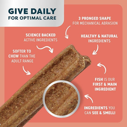 Bell & Bone Puppy Dental Chews Salmon and Carrot - Woonona Petfoods