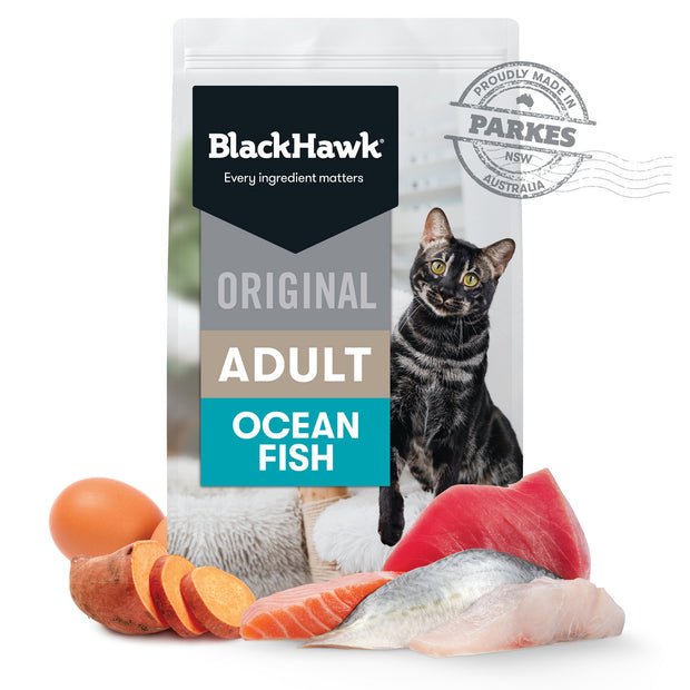 Black Hawk Dry Cat Food Adult Ocean Fish 2kg - Woonona Petfood & Produce