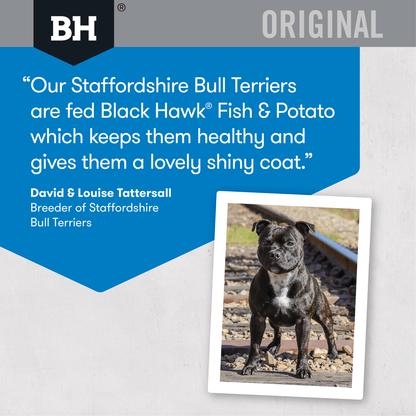 Black Hawk Dry Dog Food Adult Fish & Potato - Woonona Petfoods