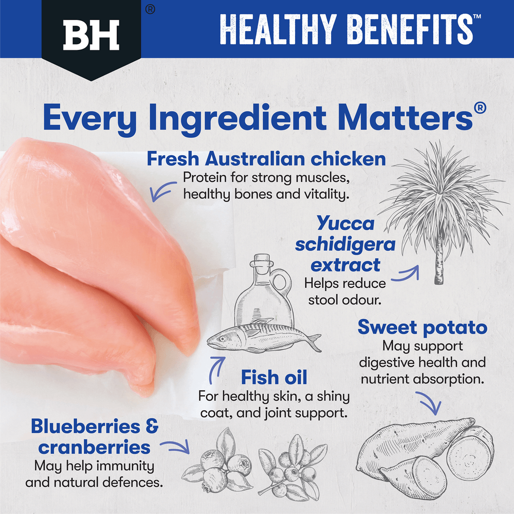 Black Hawk Dry Dog Food Healthy Benefits Dental - Woonona Petfoods