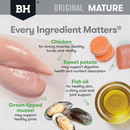 Black Hawk Mature Chicken and Rice Dry Dog Food - Woonona Petfoods