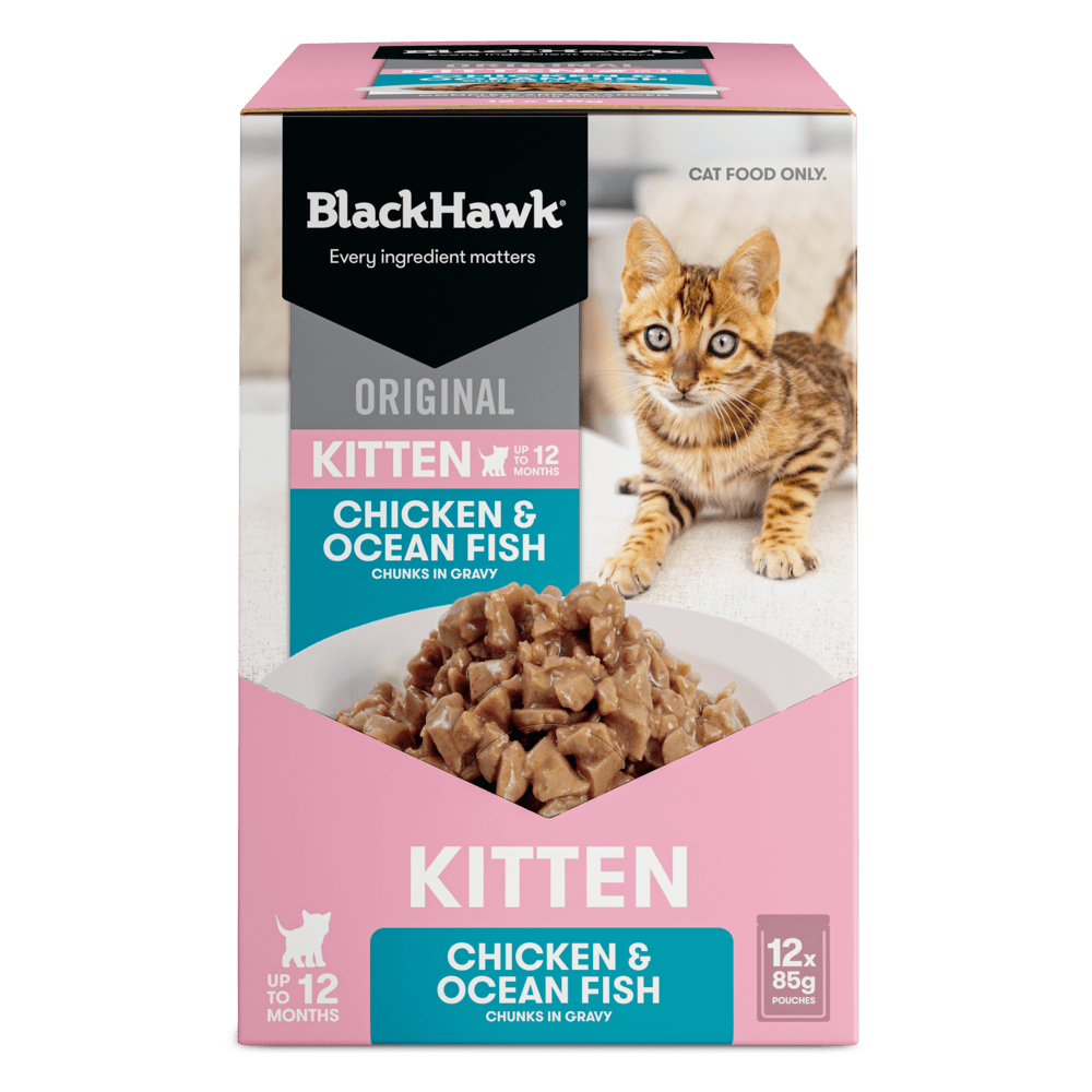 Black Hawk Wet Kitten Food Chicken and Ocean Fish - Woonona Petfoods