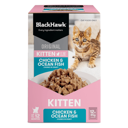 Black Hawk Wet Kitten Food Chicken and Ocean Fish - Woonona Petfoods