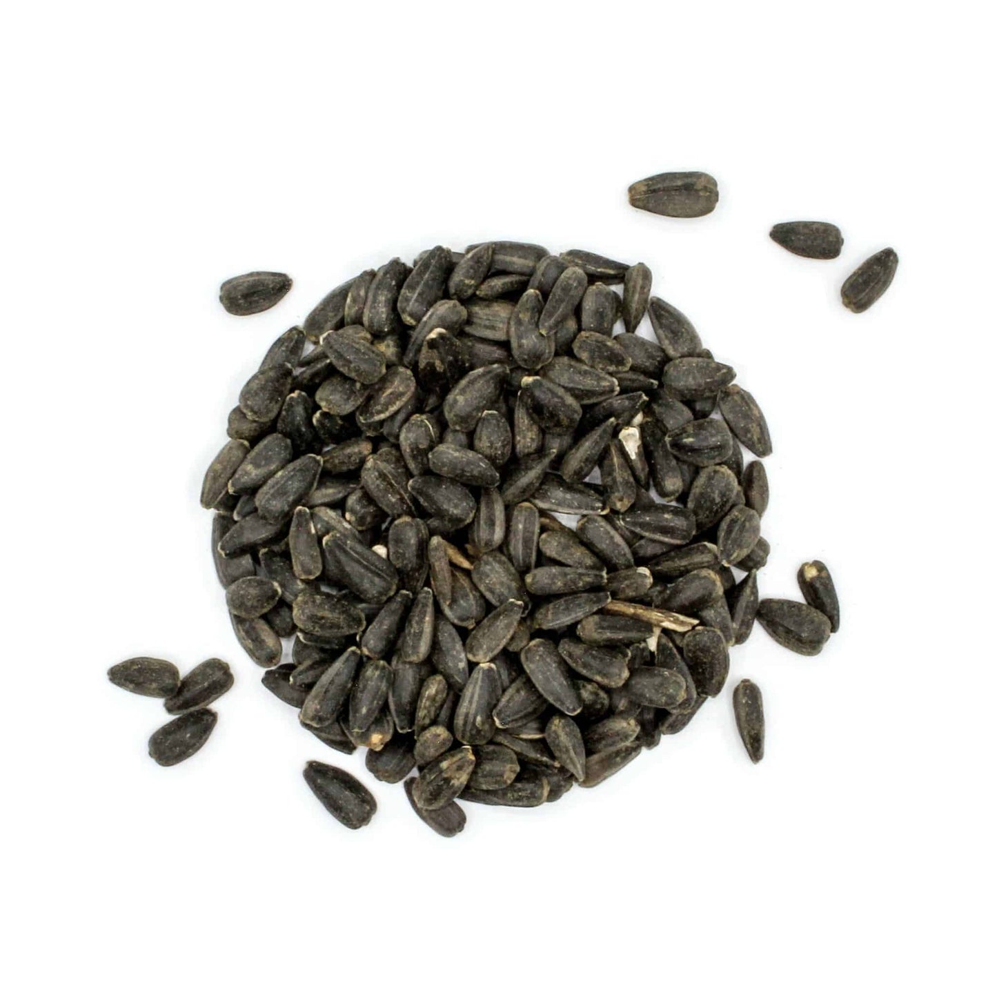 Black Sunflower per - Woonona Petfoods