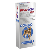 Bravecto Plus Cat 2.8kg - 6.25kg - Woonona Petfoods