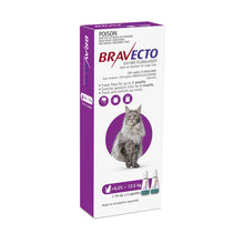 Bravecto Spot On for Cats 6.25 - 12.5kg 2 Pack Purple - Woonona Petfoods