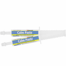 Calming Paste 30ml Ranvet - Woonona Petfoods