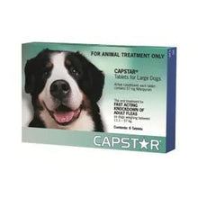 Capstar Flea Tablets for Large Dogs - Woonona Petfoods