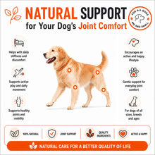 CEN Rosehip Joint and Hip Support 300g - Woonona Petfoods