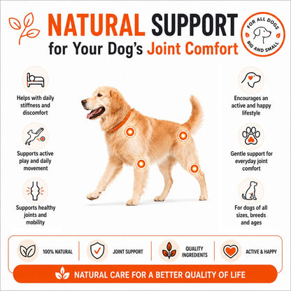 CEN Rosehip Joint and Hip Support 300g - Woonona Petfoods