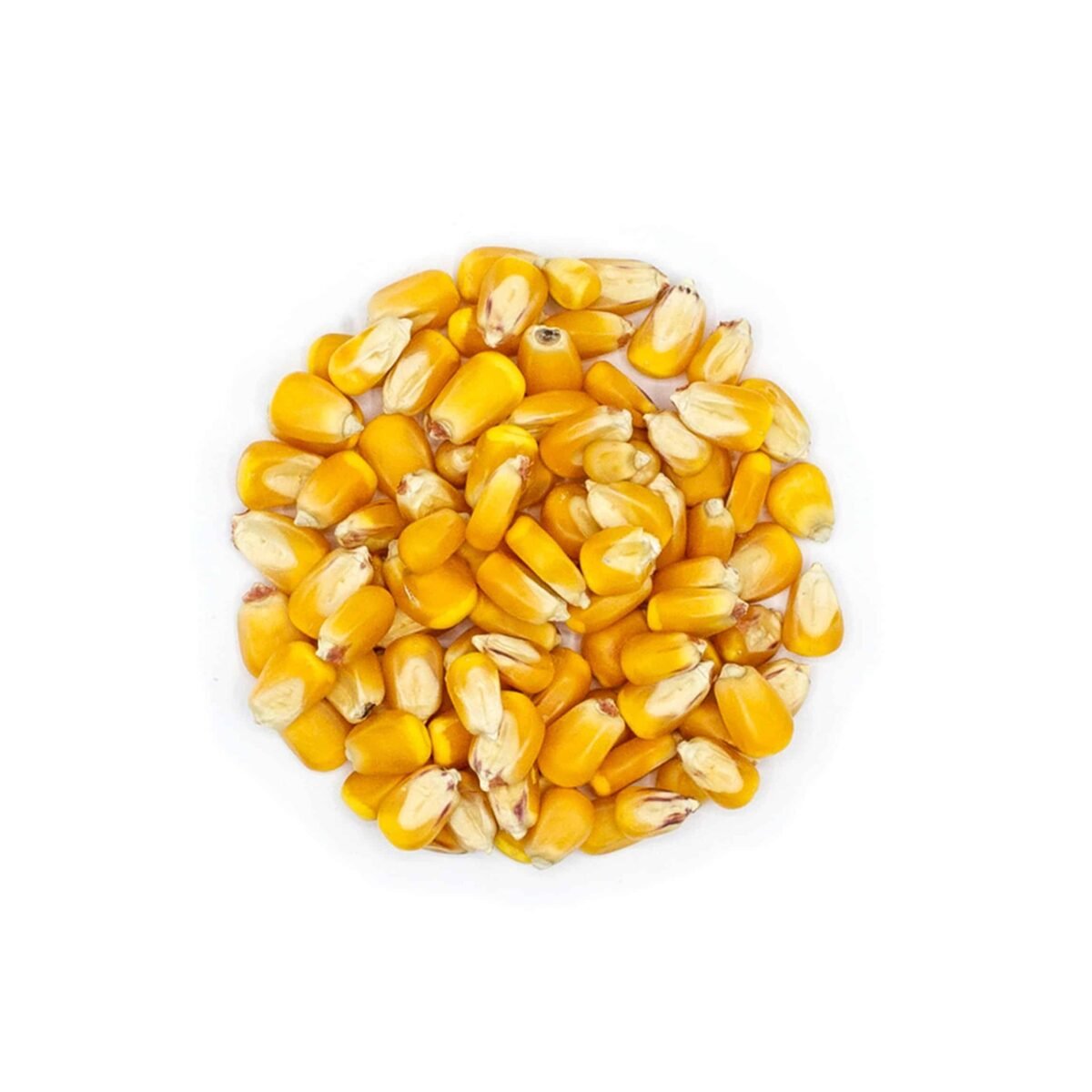 Corn Whole 20kg Cowra Seed Grain - Woonona Petfood & Produce