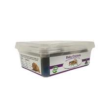 Crickets Baby 100+ Tub - Woonona Petfoods