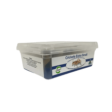 Crickets XSmall 50 Tub - Woonona Petfoods