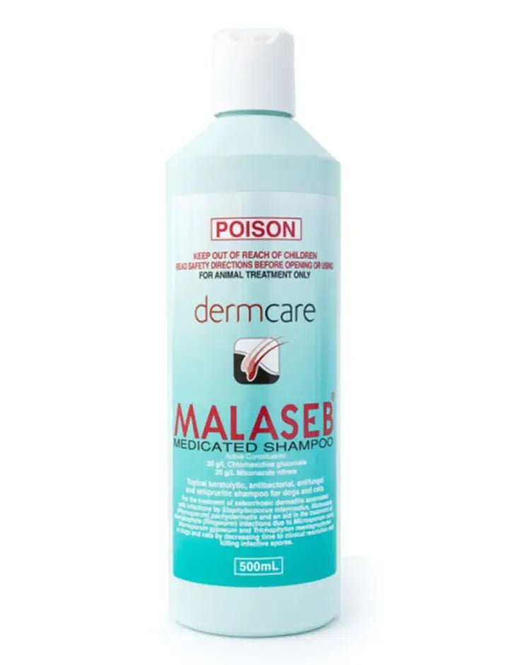 Dermcare Malaseb Medicated Shampoo - Woonona Petfood & Produce