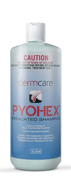 Dermcare Pyohex Shampoo - Woonona Petfood & Produce