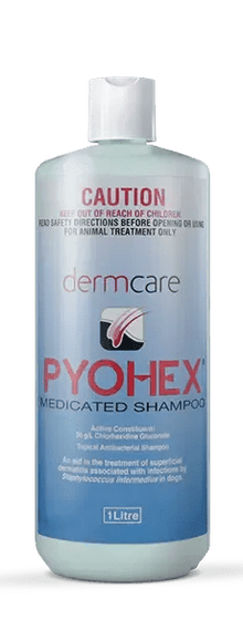 Dermcare Pyohex Shampoo - Woonona Petfood & Produce