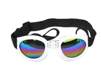 Dog Goggles - Woonona Petfoods