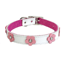 Dogue Collar Foxy White - Woonona Petfoods