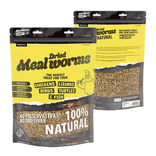 Dried Mealworms - Woonona Petfoods