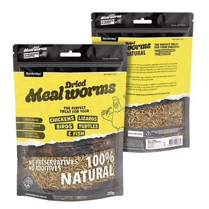 Dried Mealworms - Woonona Petfoods