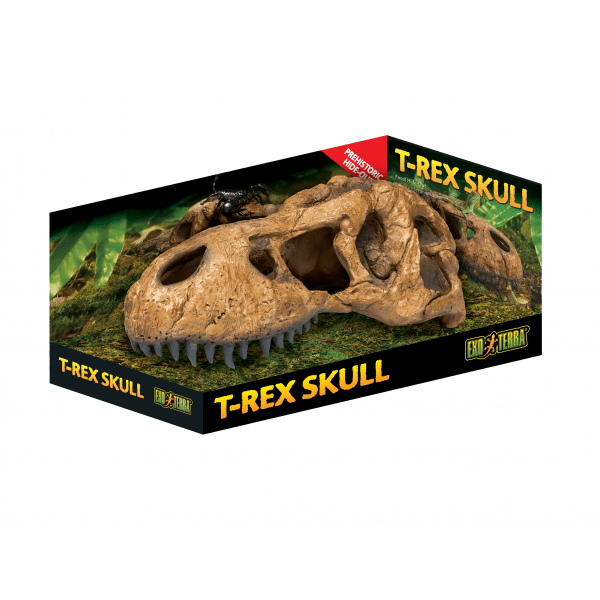 Exo Terra T Rex Skull - Woonona Petfood & Produce