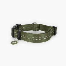 Ezydog Essential Adjustable Collar Green - Woonona Petfoods