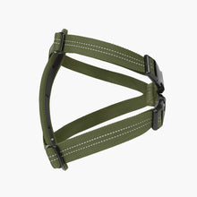 Ezydog Essential Chest Plate Harness Green - Woonona Petfoods