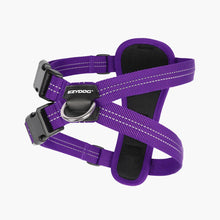 Ezydog Essential Chest Plate Harness Purple - Woonona Petfoods