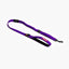 Ezydog Leash Zero Shock 120cm Purple - Woonona Petfood & Produce