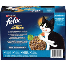 Felix Sensations Fishy Selections 12x85g - Woonona Petfoods