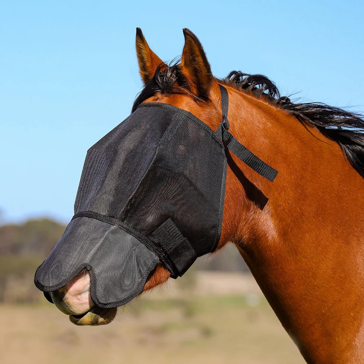 Flyveil with UV Blockout Nose Cover Black Cob - Woonona Petfood & Produce