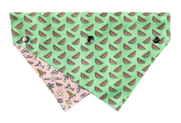 Fuzzyard Bandana - Hello Sun - Woonona Petfood & Produce