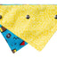 Fuzzyard Bandana - Kings of Gold School - Woonona Petfood & Produce