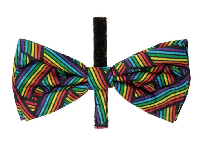 Fuzzyard Bowtie - Rainbow Nortcote Small - Woonona Petfood & Produce