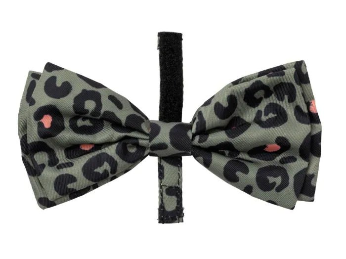 Fuzzyard Bowtie - Savanna - Woonona Petfood & Produce