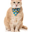 Fuzzyard Cat Fashion Pack - Cheesy Hearts - Woonona Petfoods