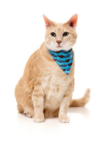 Fuzzyard Cat Fashion Pack - Soy Sauce Fish - Woonona Petfood & Produce