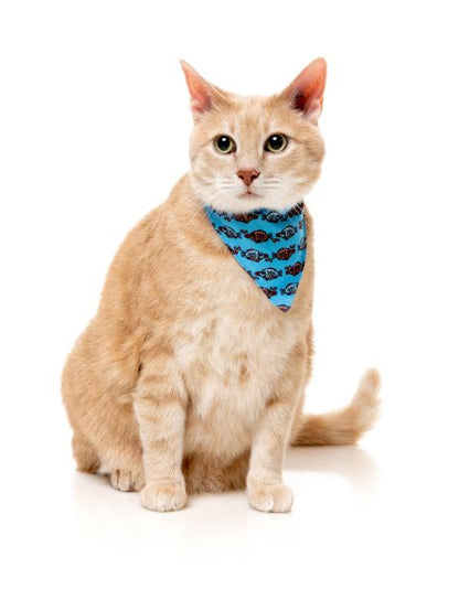 Fuzzyard Cat Fashion Pack - Soy Sauce Fish - Woonona Petfood & Produce