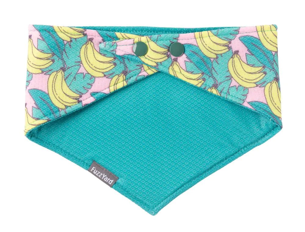 Fuzzyard Cooling Bandana Bananarama Small/Medium - Woonona Petfood & Produce