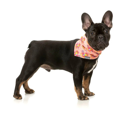 Fuzzyard Cooling Bandana - Two Cans - Woonona Petfoods